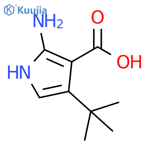 2-amino-4-tert-butyl-1H-pyrrole-3-carboxylic acid structure