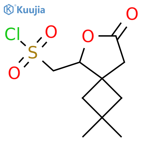 {2,2-dimethyl-7-oxo-6-oxaspiro3.4octan-5-yl}methanesulfonyl chloride structure