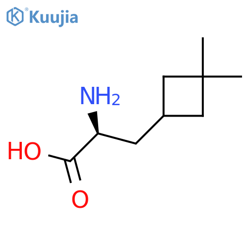 (2S)-2-amino-3-(3,3-dimethylcyclobutyl)propanoic acid structure