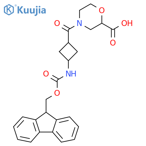 4-(1s,3s)-3-({(9H-fluoren-9-yl)methoxycarbonyl}amino)cyclobutanecarbonylmorpholine-2-carboxylic acid structure