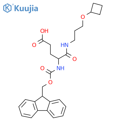 4-(3-cyclobutoxypropyl)carbamoyl-4-({(9H-fluoren-9-yl)methoxycarbonyl}amino)butanoic acid structure