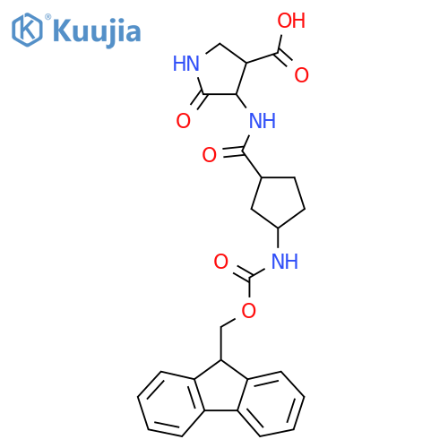 4-3-({(9H-fluoren-9-yl)methoxycarbonyl}amino)cyclopentaneamido-5-oxopyrrolidine-3-carboxylic acid structure