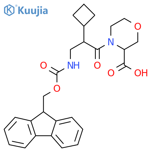 4-2-cyclobutyl-3-({(9H-fluoren-9-yl)methoxycarbonyl}amino)propanoylmorpholine-3-carboxylic acid structure