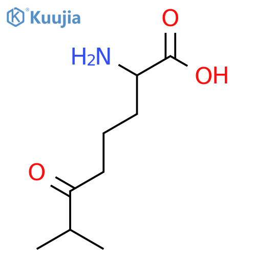 2-amino-7-methyl-6-oxooctanoic acid structure