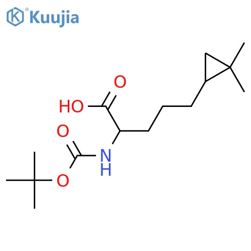 2-{(tert-butoxy)carbonylamino}-5-(2,2-dimethylcyclopropyl)pentanoic acid structure