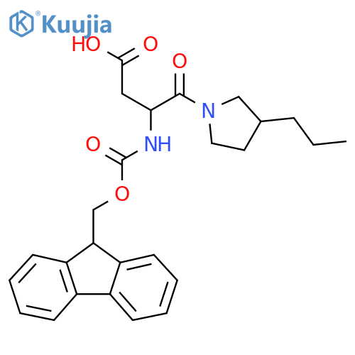 3-({(9H-fluoren-9-yl)methoxycarbonyl}amino)-4-oxo-4-(3-propylpyrrolidin-1-yl)butanoic acid structure