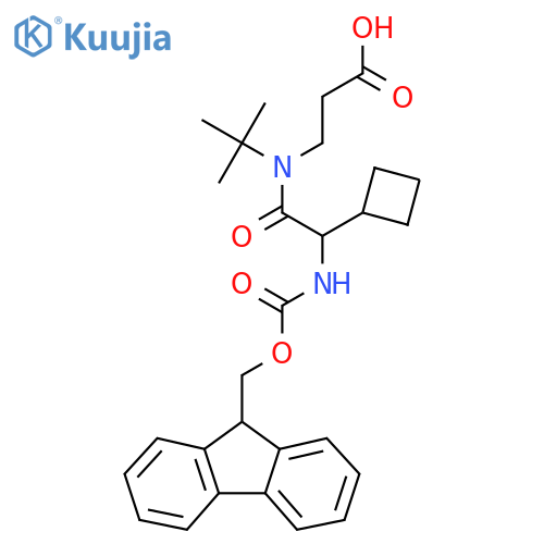 3-N-tert-butyl-2-cyclobutyl-2-({(9H-fluoren-9-yl)methoxycarbonyl}amino)acetamidopropanoic acid structure