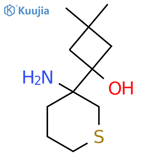 1-(3-aminothian-3-yl)-3,3-dimethylcyclobutan-1-ol structure