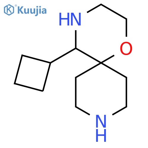 5-cyclobutyl-1-oxa-4,9-diazaspiro5.5undecane structure