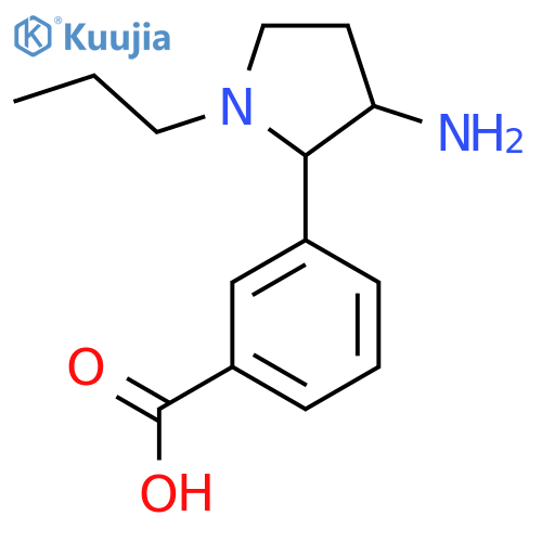 3-(3-amino-1-propylpyrrolidin-2-yl)benzoic acid structure