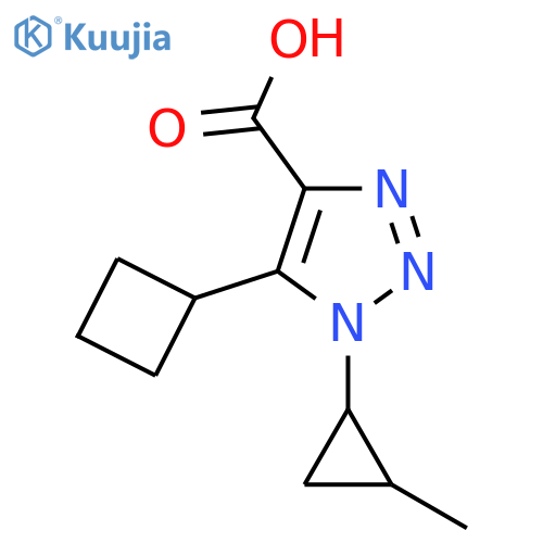 5-cyclobutyl-1-(2-methylcyclopropyl)-1H-1,2,3-triazole-4-carboxylic acid structure