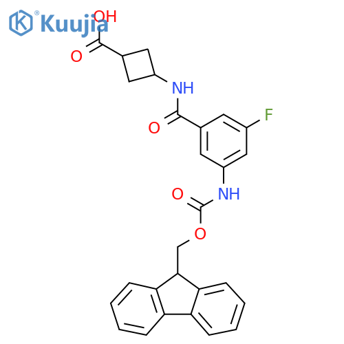 3-3-({(9H-fluoren-9-yl)methoxycarbonyl}amino)-5-fluorobenzamidocyclobutane-1-carboxylic acid structure