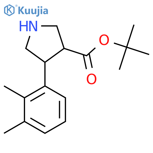 tert-butyl 4-(2,3-dimethylphenyl)pyrrolidine-3-carboxylate structure