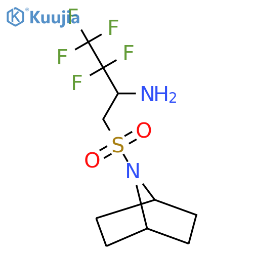 1-{7-azabicyclo2.2.1heptane-7-sulfonyl}-3,3,4,4,4-pentafluorobutan-2-amine structure