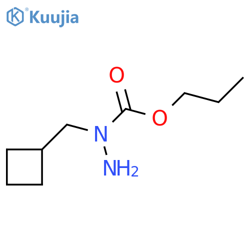 N-(cyclobutylmethyl)propoxycarbohydrazide structure