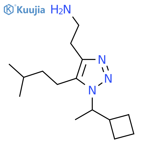 2-1-(1-cyclobutylethyl)-5-(3-methylbutyl)-1H-1,2,3-triazol-4-ylethan-1-amine structure