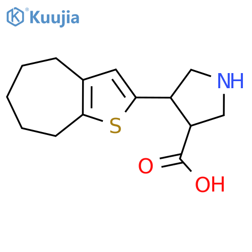 4-{4H,5H,6H,7H,8H-cycloheptabthiophen-2-yl}pyrrolidine-3-carboxylic acid structure