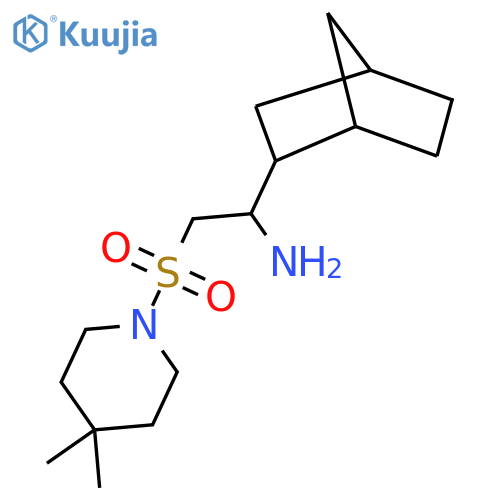 1-{Bicyclo[2.2.1]heptan-2-yl}-2-[(4,4-dimethylpiperidin-1-yl)sulfonyl]ethan-1-amine structure