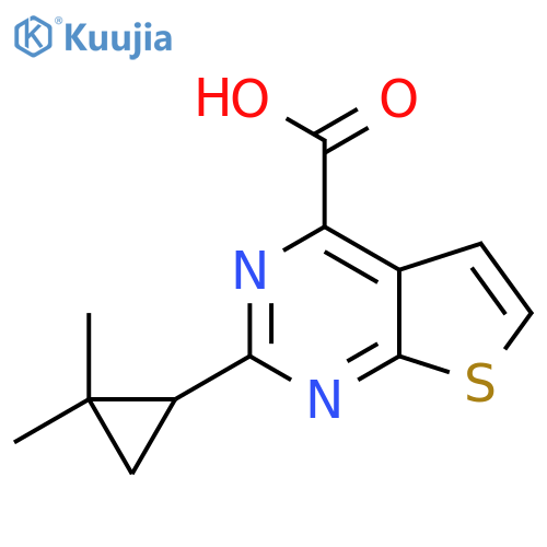 2-(2,2-dimethylcyclopropyl)thieno2,3-dpyrimidine-4-carboxylic acid structure