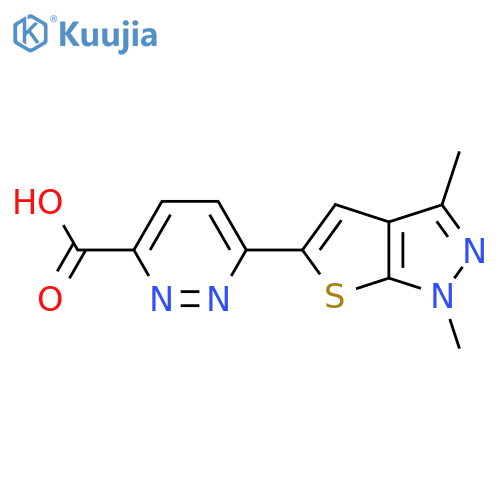6-{1,3-dimethyl-1H-thieno2,3-cpyrazol-5-yl}pyridazine-3-carboxylic acid structure