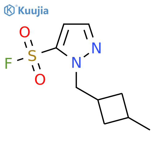 1-(3-methylcyclobutyl)methyl-1H-pyrazole-5-sulfonyl fluoride structure
