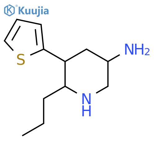6-propyl-5-(thiophen-2-yl)piperidin-3-amine structure