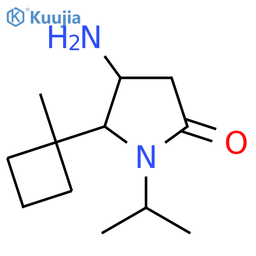 4-amino-5-(1-methylcyclobutyl)-1-(propan-2-yl)pyrrolidin-2-one structure