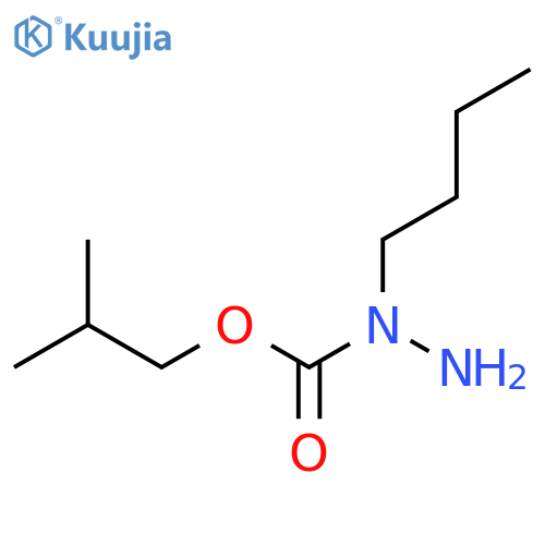 N-butyl(2-methylpropoxy)carbohydrazide structure