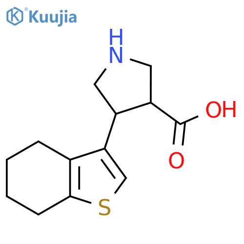 4-(4,5,6,7-tetrahydro-1-benzothiophen-3-yl)pyrrolidine-3-carboxylic acid structure