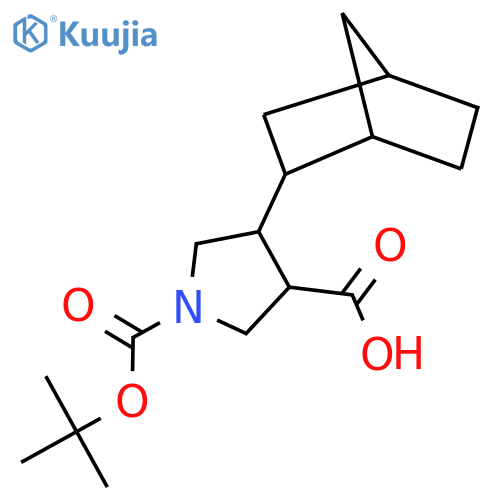 4-{bicyclo2.2.1heptan-2-yl}-1-(tert-butoxy)carbonylpyrrolidine-3-carboxylic acid structure