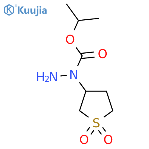 N-(1,1-dioxo-1lambda6-thiolan-3-yl)(propan-2-yloxy)carbohydrazide structure