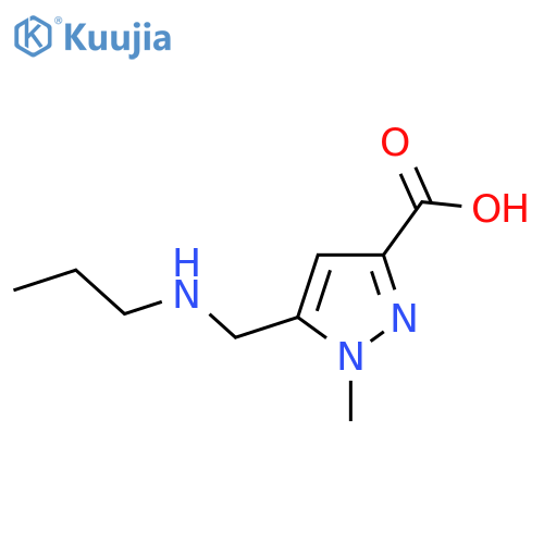1-methyl-5-(propylamino)methyl-1H-pyrazole-3-carboxylic acid structure