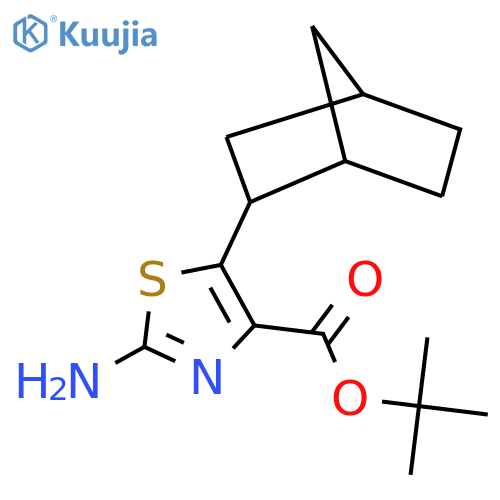 tert-butyl 2-amino-5-{bicyclo2.2.1heptan-2-yl}-1,3-thiazole-4-carboxylate structure