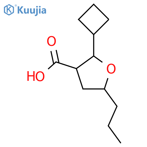 2-cyclobutyl-5-propyloxolane-3-carboxylic acid structure
