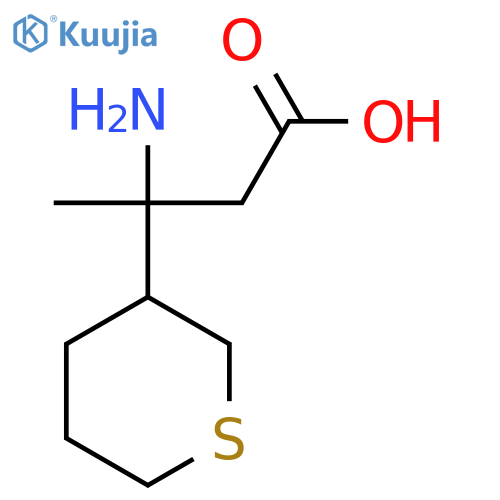 3-amino-3-(thian-3-yl)butanoic acid structure