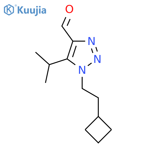 1-(2-cyclobutylethyl)-5-(propan-2-yl)-1H-1,2,3-triazole-4-carbaldehyde structure