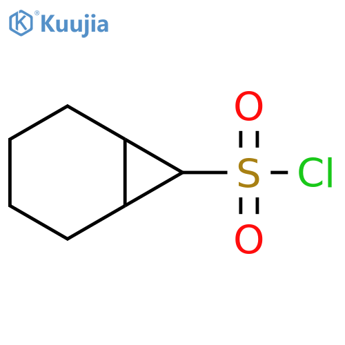 bicyclo4.1.0heptane-7-sulfonyl chloride structure