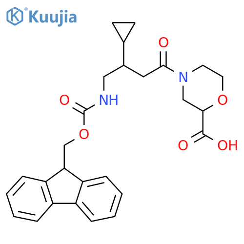 4-3-cyclopropyl-4-({(9H-fluoren-9-yl)methoxycarbonyl}amino)butanoylmorpholine-2-carboxylic acid structure