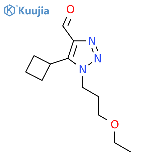 5-cyclobutyl-1-(3-ethoxypropyl)-1H-1,2,3-triazole-4-carbaldehyde structure