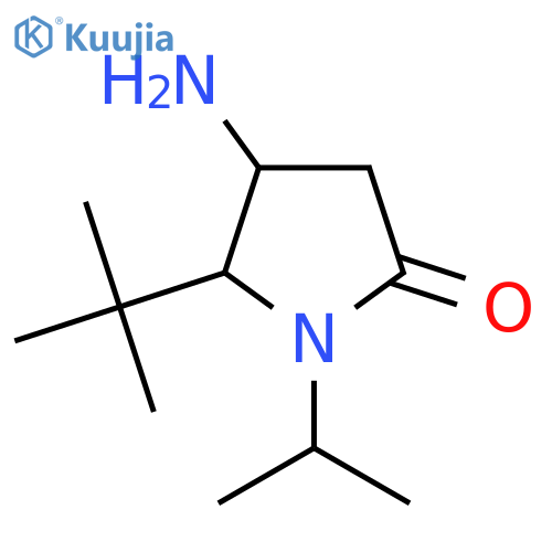 4-Amino-5-tert-butyl-1-(propan-2-yl)pyrrolidin-2-one structure