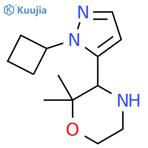 3-(1-cyclobutyl-1H-pyrazol-5-yl)-2,2-dimethylmorpholine structure