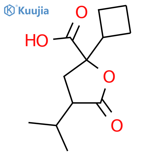 2-Cyclobutyl-5-oxo-4-(propan-2-yl)oxolane-2-carboxylic acid structure