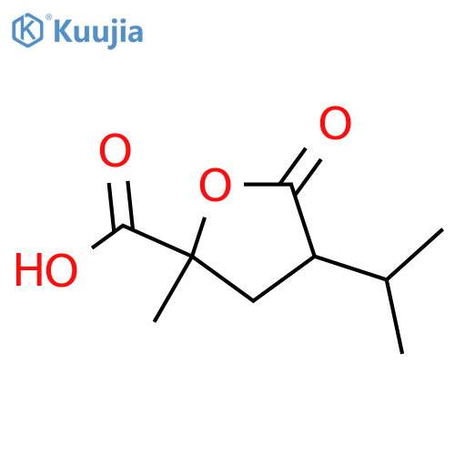 2-methyl-5-oxo-4-(propan-2-yl)oxolane-2-carboxylic acid structure