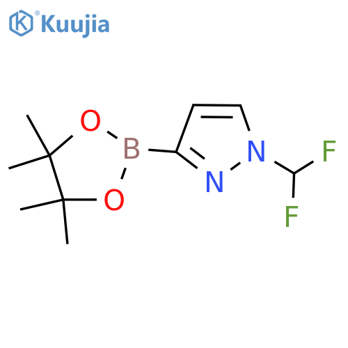 1-(difluoromethyl)-3-(tetramethyl-1,3,2-dioxaborolan-2-yl)-1H-pyrazole structure