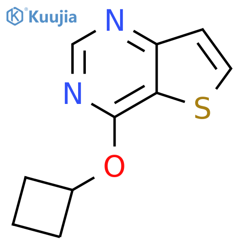 4-Cyclobutoxythieno[3,2-d]pyrimidine structure