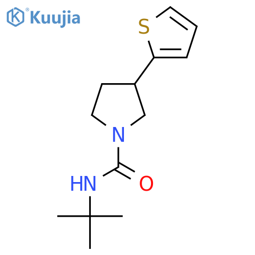 N-tert-butyl-3-(thiophen-2-yl)pyrrolidine-1-carboxamide structure