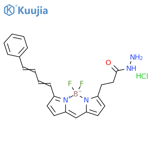 BDP 581/591 hydrazide structure