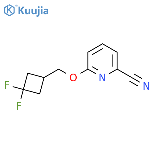 6-[(3,3-Difluorocyclobutyl)methoxy]pyridine-2-carbonitrile structure