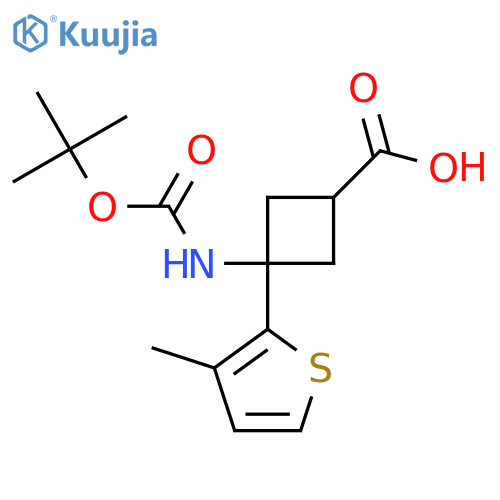 3-{(tert-butoxy)carbonylamino}-3-(3-methylthiophen-2-yl)cyclobutane-1-carboxylic acid structure