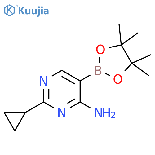 4-Amino-2-(cyclopropyl)pyrimidine-5-boronic acid pinacol ester structure